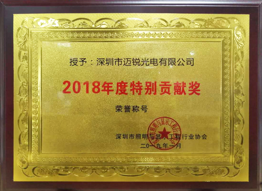 太阳成tyc光电喜获“2018年度特别贡献奖”.jpg